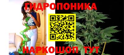 тгк Новодвинск
