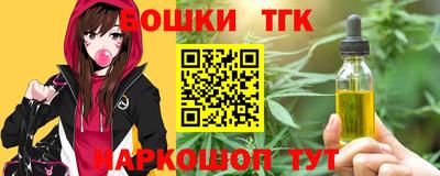 тгк Новодвинск