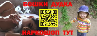 тгк Новодвинск