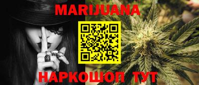 тгк Новодвинск