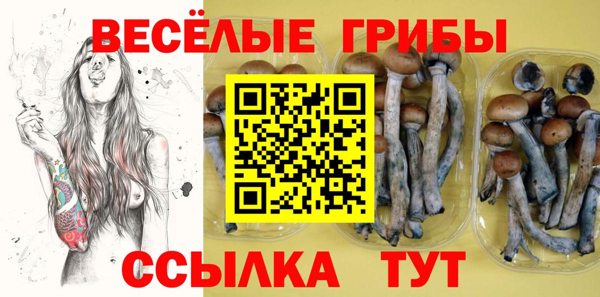 Галлюциногенные грибы Psilocybe  наркота  Чехов  Псилоцибиновые грибы Magic Shrooms  Вход с VPN 
