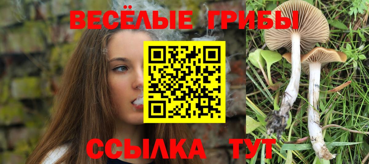 Галлюциногенные грибы ЛСД Чехов